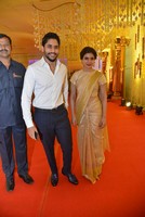 Akkineni Family at Nimmagadda Prasad Daughter Wedding
